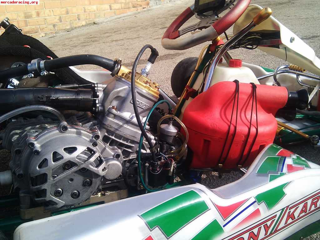 Tony kart - kz - vortex