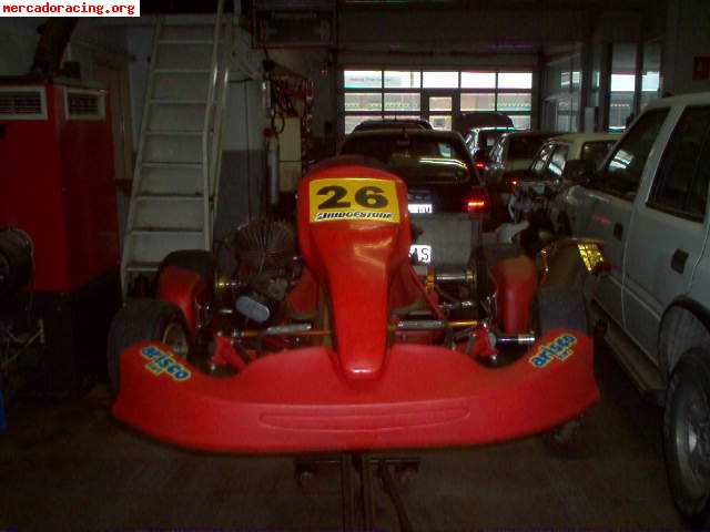 Vendo kart 100cc