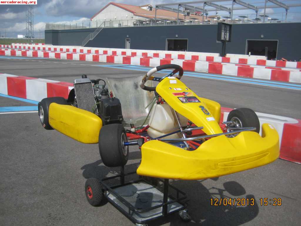 Pcr rotax max