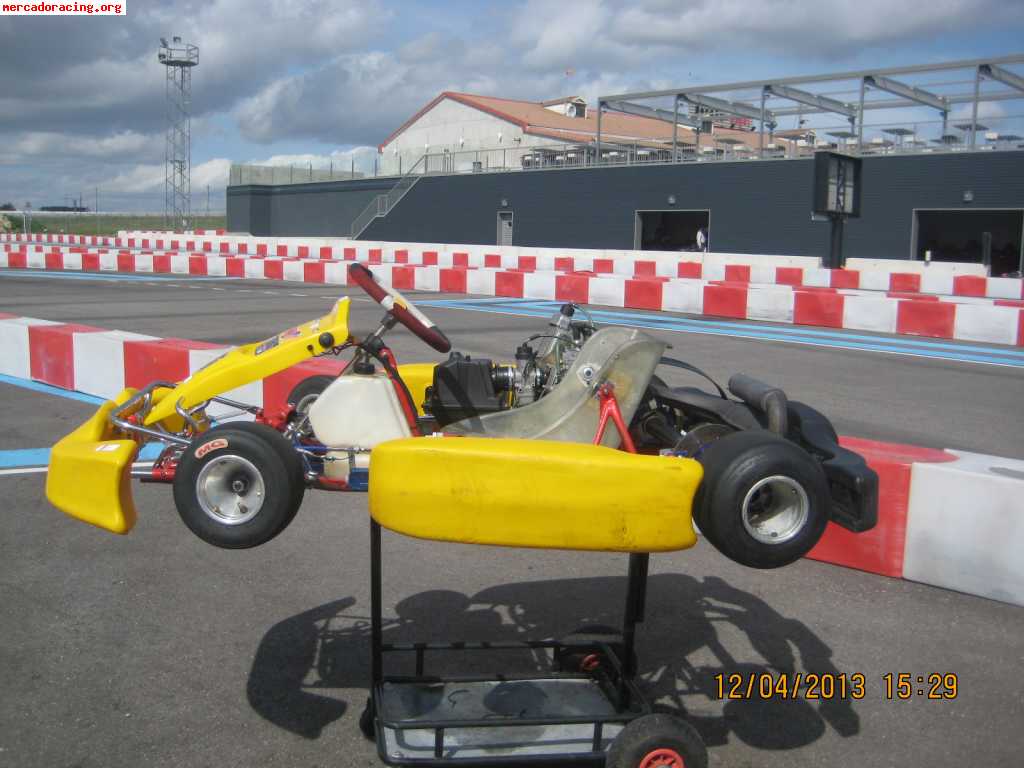 Pcr rotax max