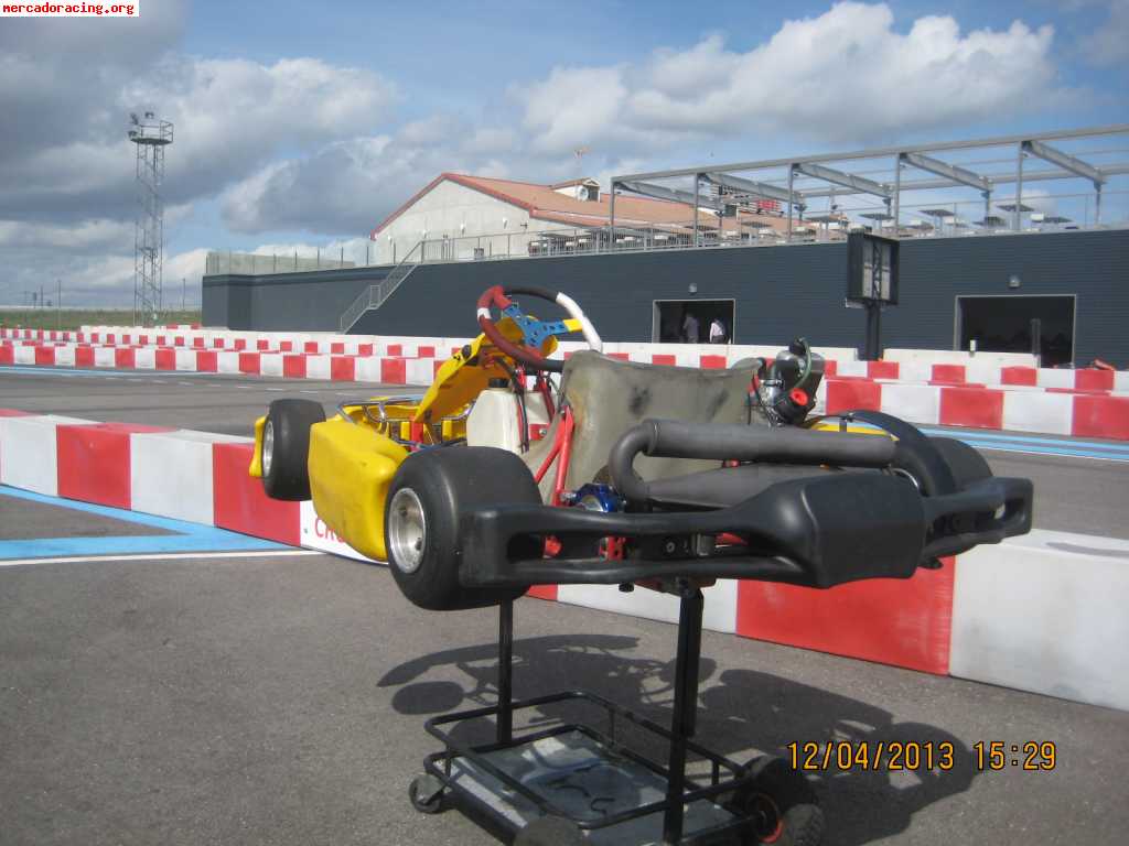 Pcr rotax max