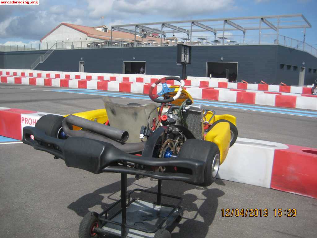 Pcr rotax max