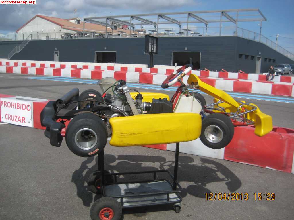 Pcr rotax max