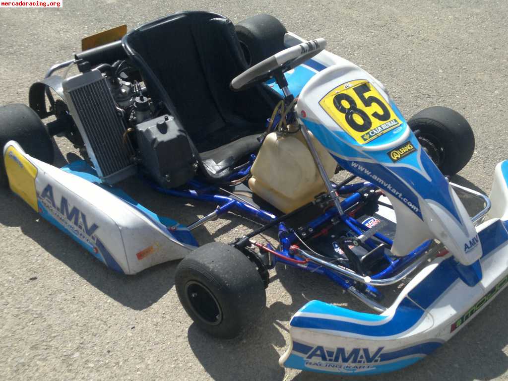 Kart amv 125 cc