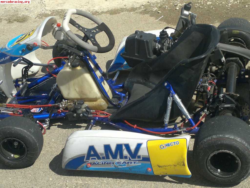 Kart amv 125 cc