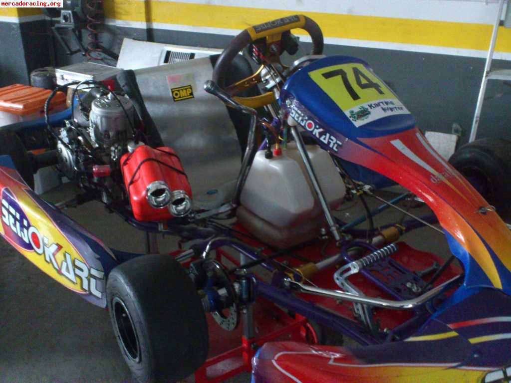 Seijokart con motor tm k9b