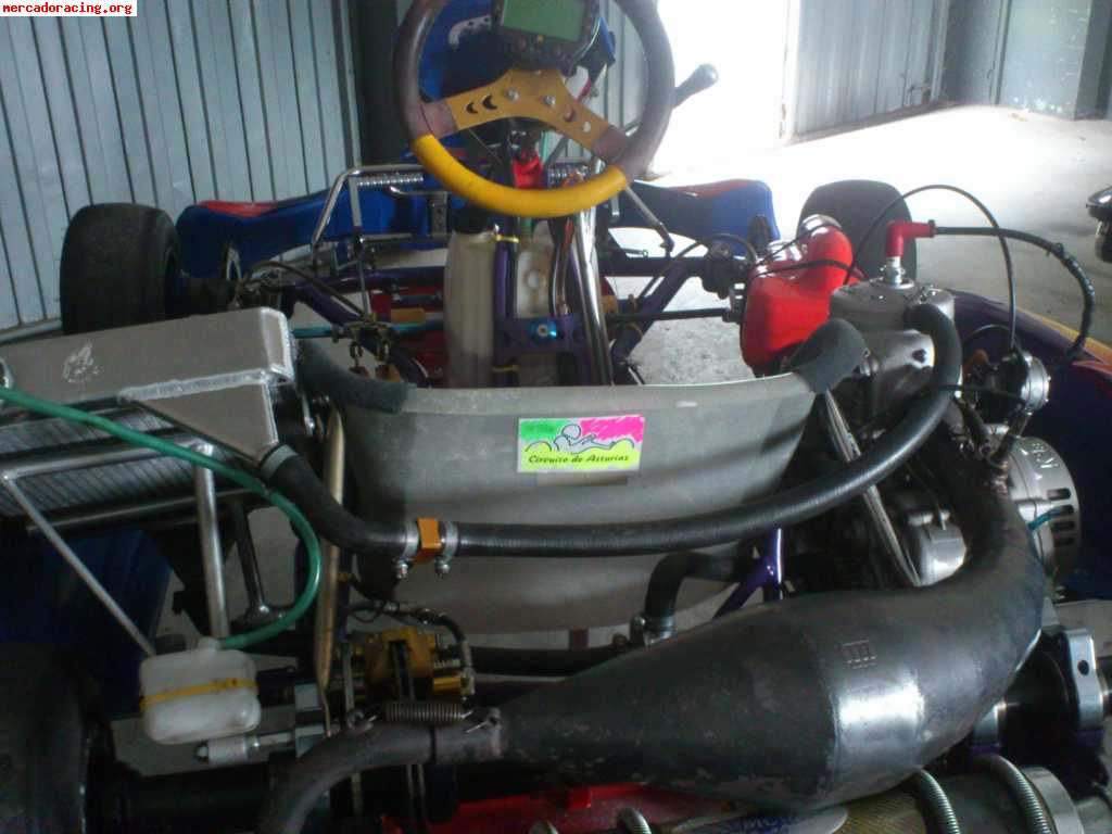 Seijokart con motor tm k9b