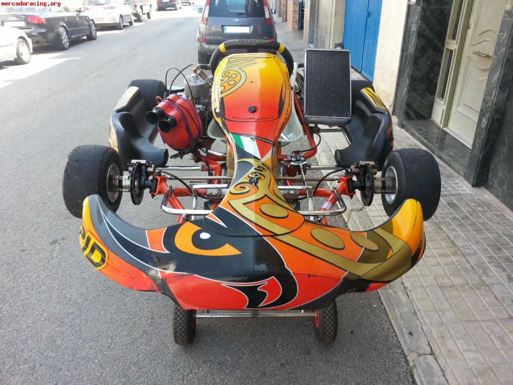 Kart intrepid cruiser v tm k9c