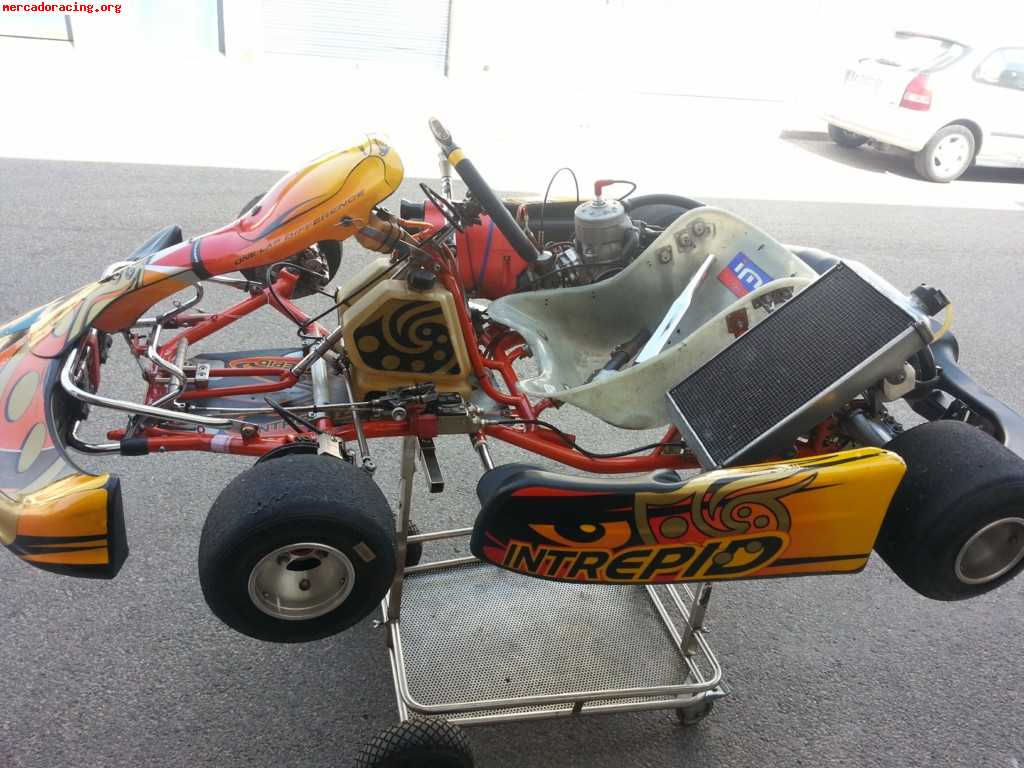 Kart intrepid cruiser v tm k9c