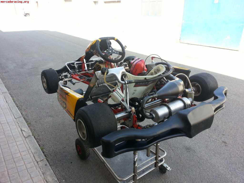 Kart intrepid cruiser v tm k9c