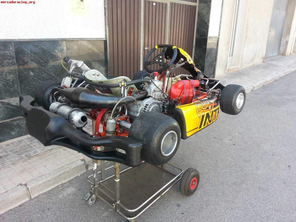 Kart intrepid cruiser v tm k9c