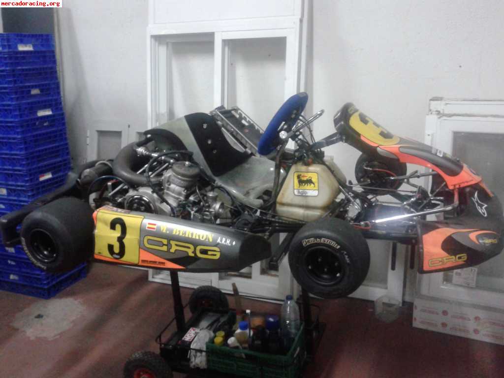 Kart crg road revel motor maxter kz2