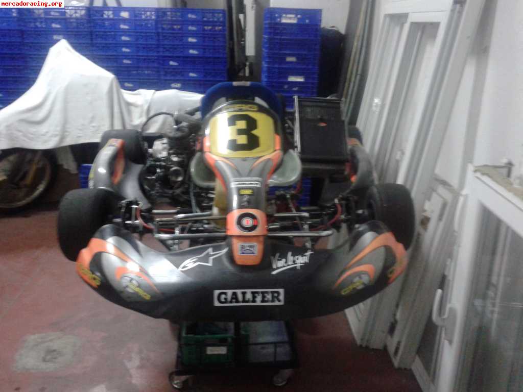 Kart crg road revel motor maxter kz2