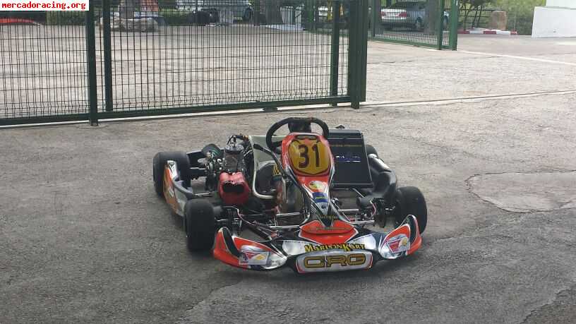 Vendo kz2:  crg  maxter mxs preparcion italia por cambio a t