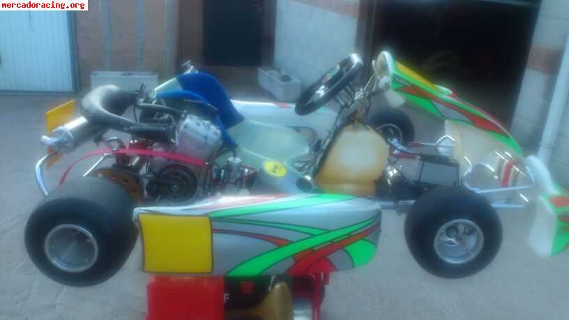 Se vende kart en excelente estado