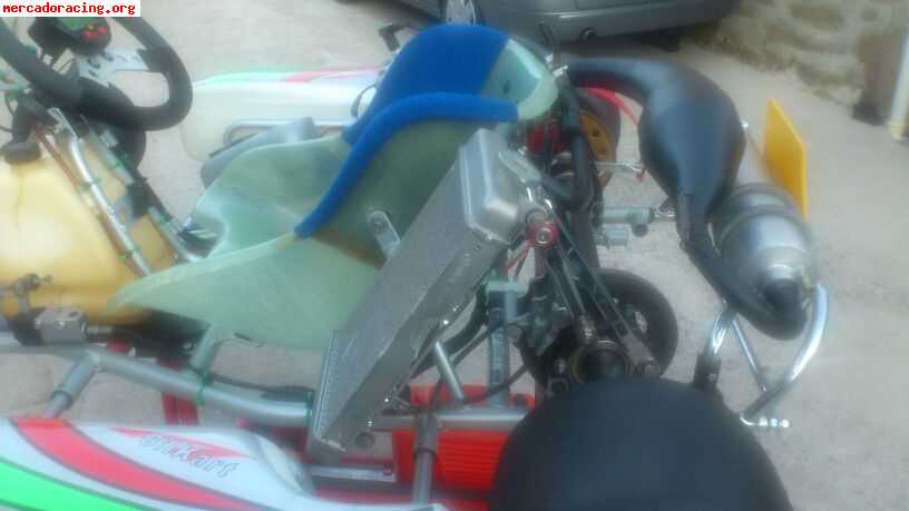 Se vende kart en excelente estado