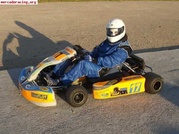 Rotax max 125cc - chasis parolin   remolque