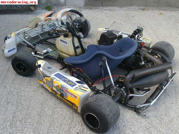 Rotax max 125cc - chasis parolin   remolque