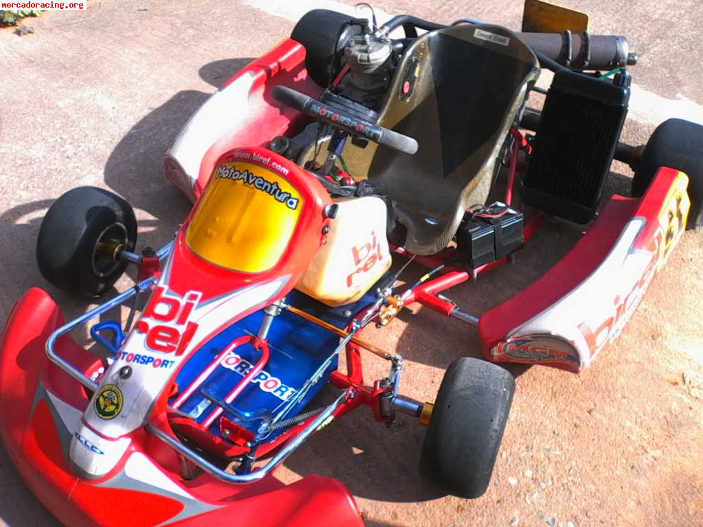 Kart birel 125 cc