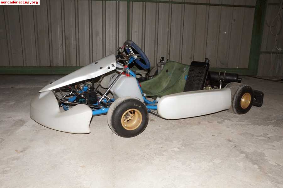 Vendo kart 125 cc  por 1500 euros 