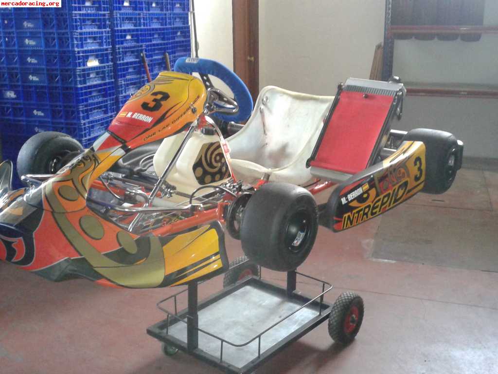 Kart intrepid cruiser v con motor tm kz10