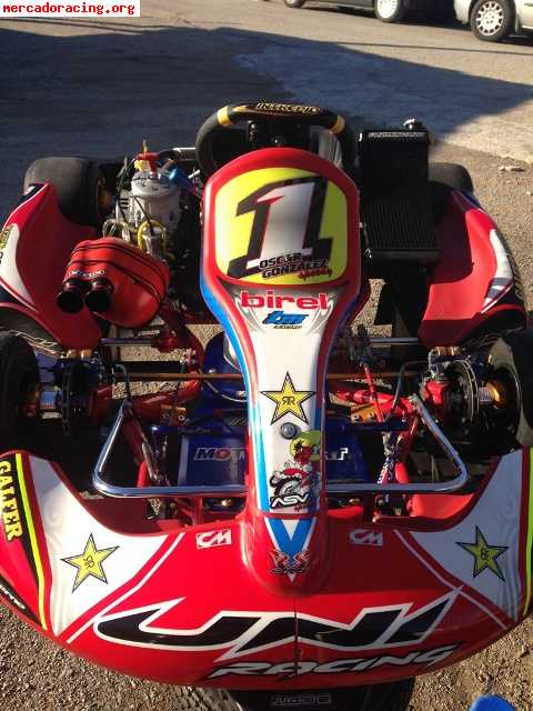 Kart kz 6 velocidades chasis birel