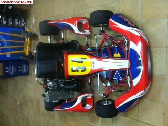 Rotax max 125 chasis tecno