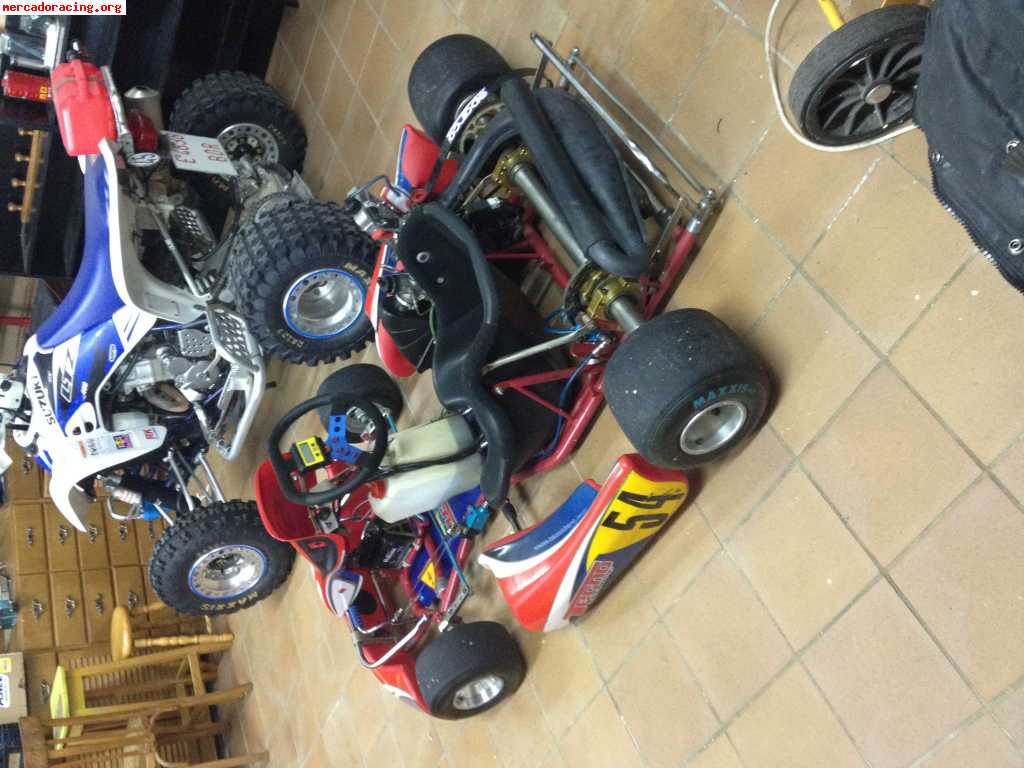 Rotax max 125 chasis tecno