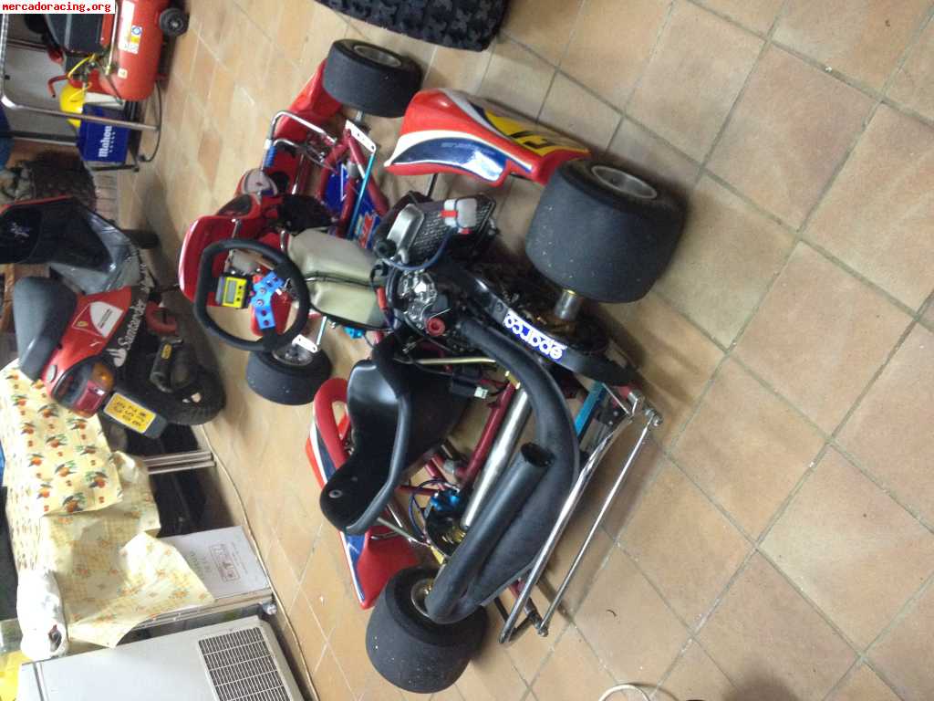 Rotax max 125 chasis tecno