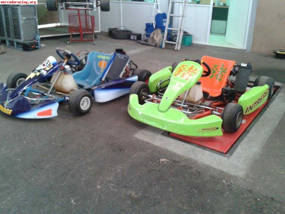 Karts pista