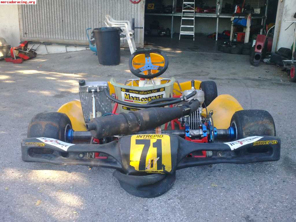 Tecno kart en 1100e