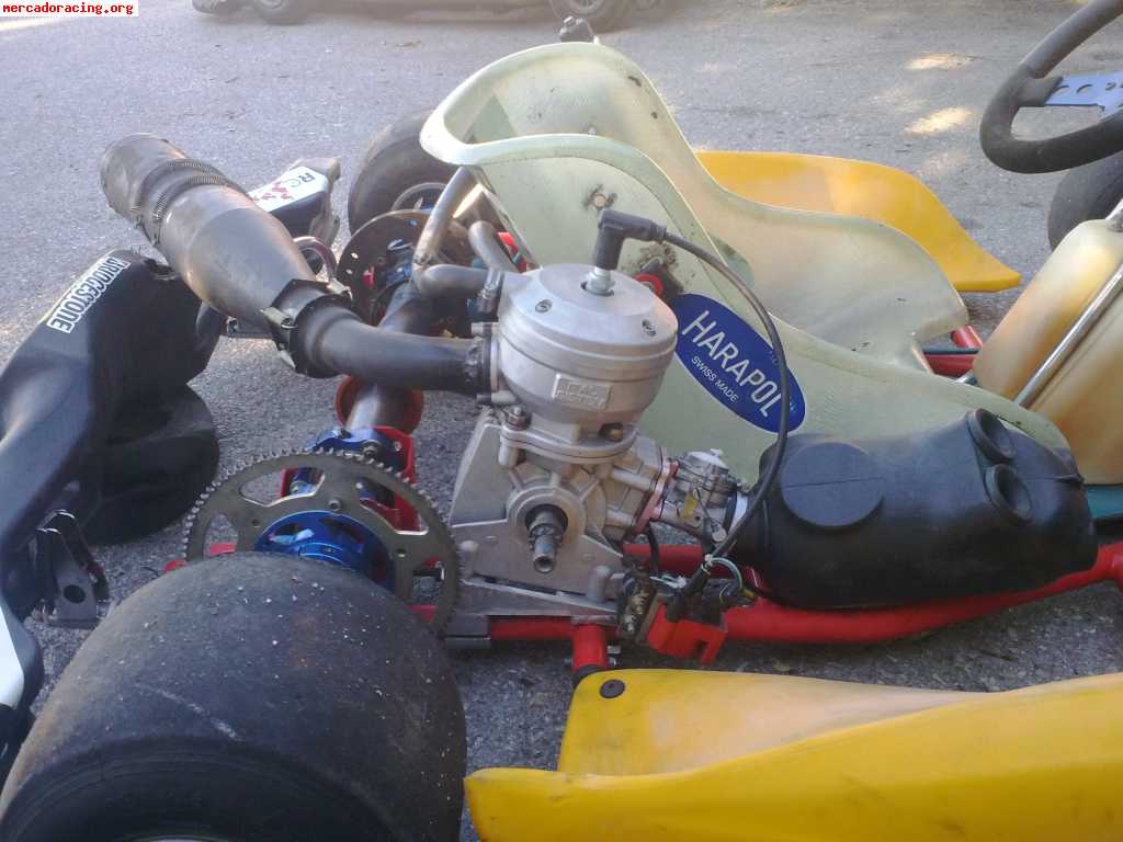 Tecno kart en 1100e