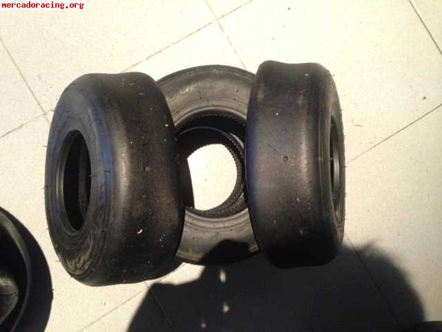 Vega verde, bridgestone ymm, dunlop dfm, mojo d1, mojo d2 y 