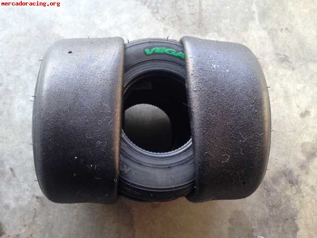 Vega verde, bridgestone ymm, dunlop dfm, mojo d1, mojo d2 y 