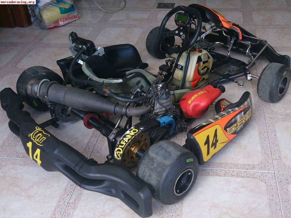 Kart crg road rebel 2008