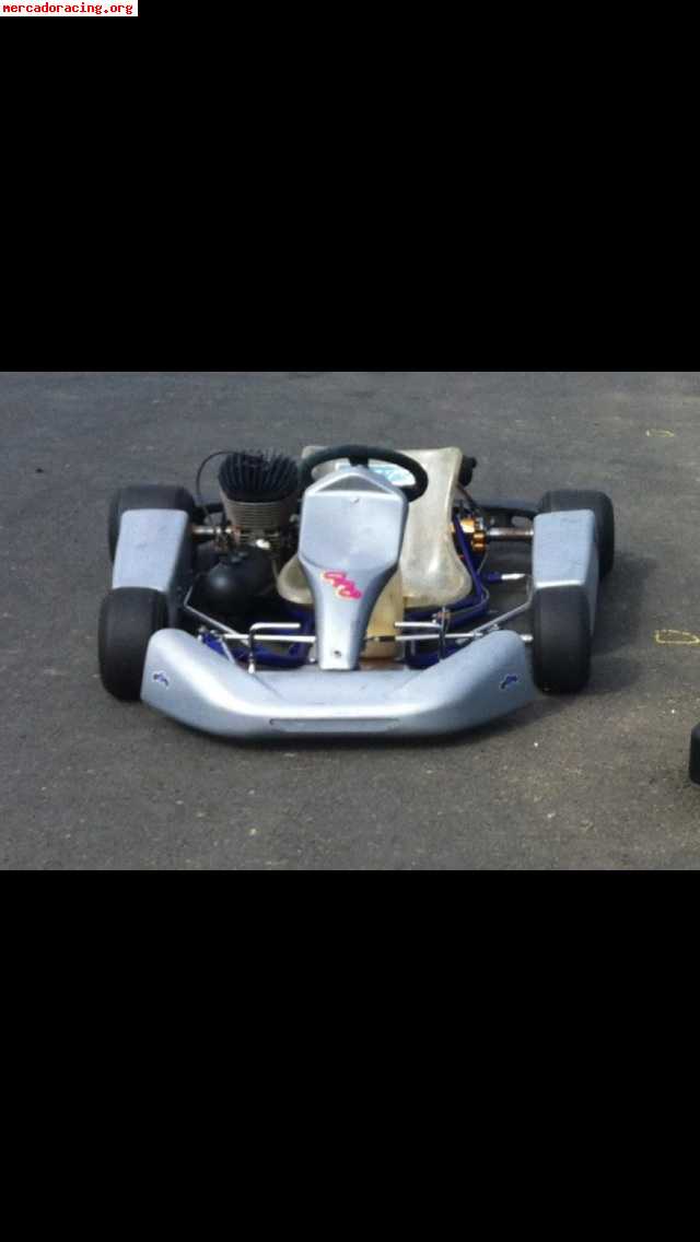 Venta de kart crg