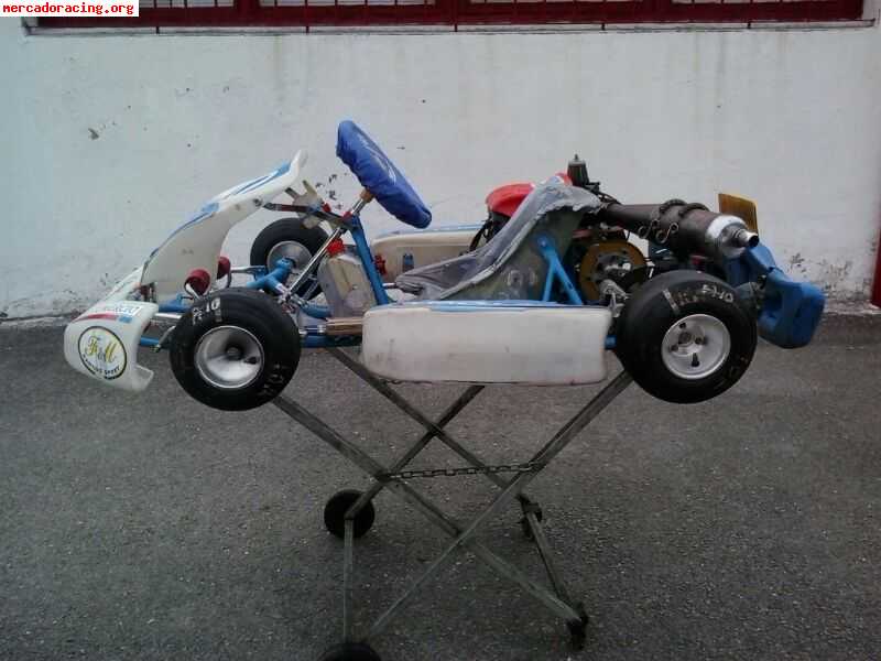 Se vende kart 