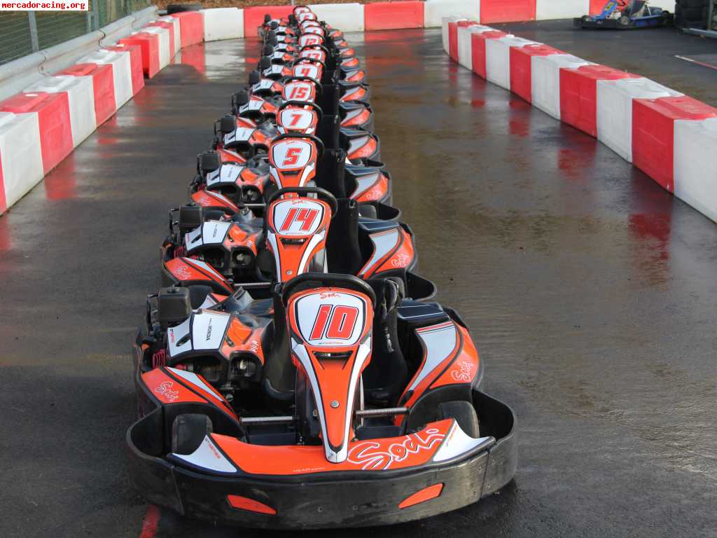 Se vende flota de karts sodi gt5 15 unidades  11/12 