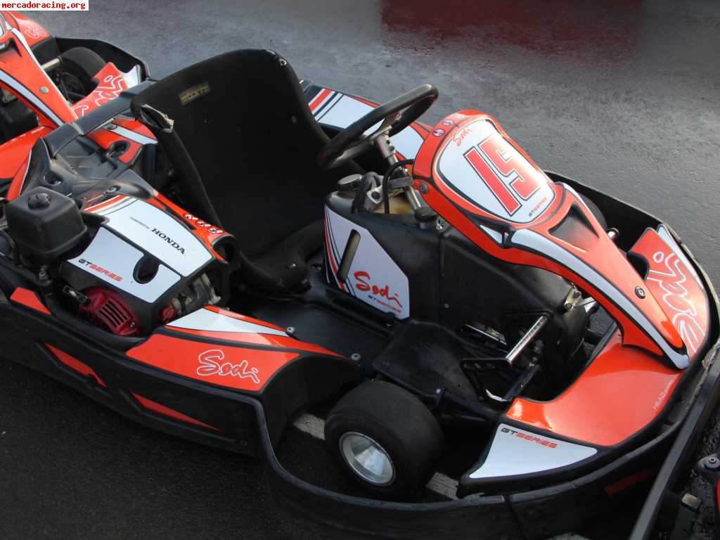 Se vende flota de karts sodi gt5 15 unidades  11/12 
