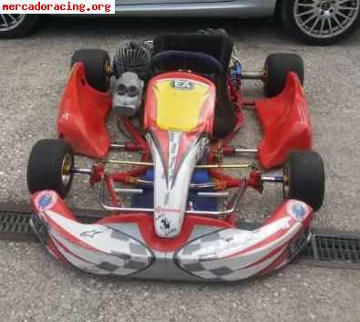 Birel r32 kart con motor vortex de 100cc con embrague