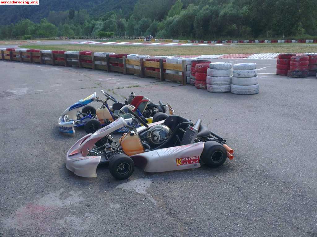 Amv rotax 125 max y dd2