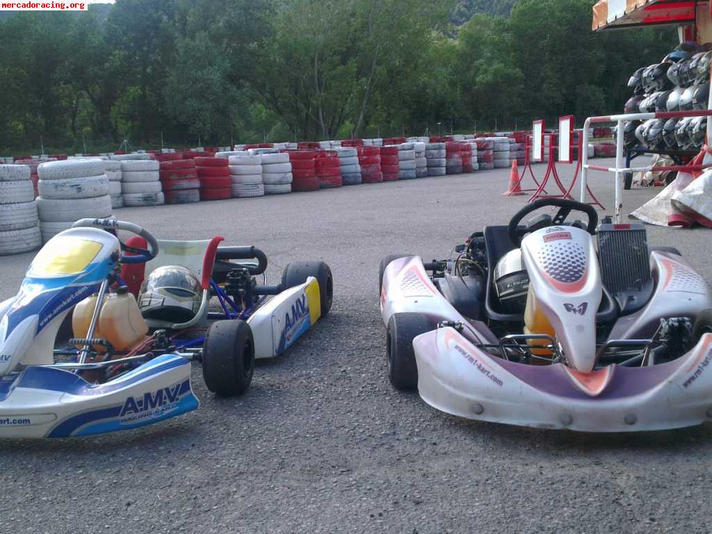 Amv rotax 125 max y dd2