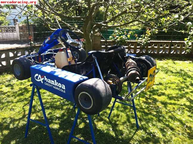 Vendo kart iame parilla 100cc (inter a)