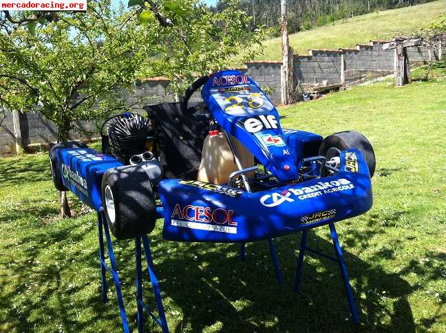 Vendo kart iame parilla 100cc (inter a)