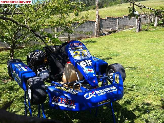 Vendo kart iame parilla 100cc (inter a)