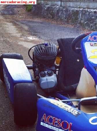 Vendo kart iame parilla 100cc (inter a)
