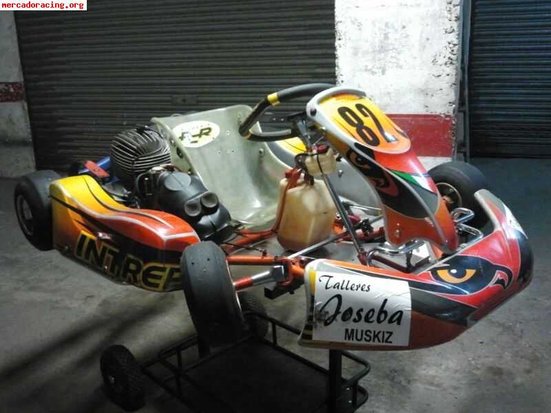 Se vende kart intrepit con motor puma 85