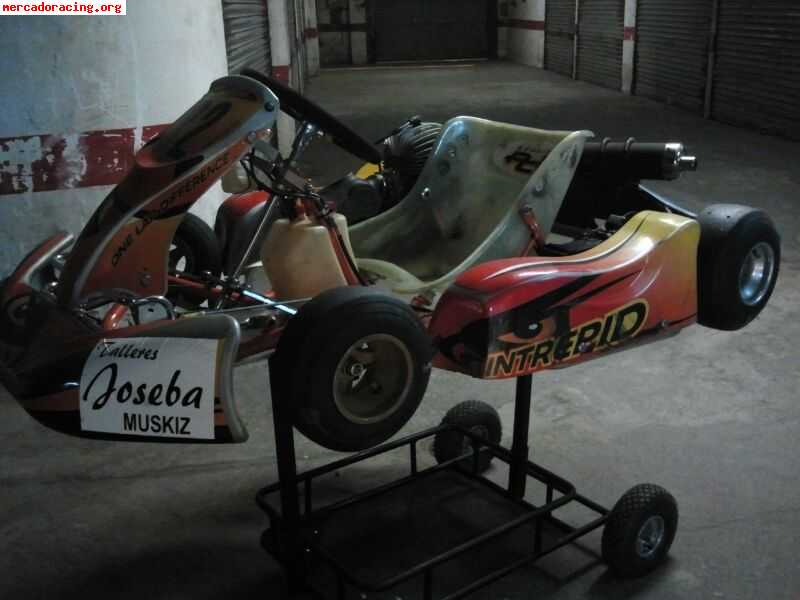 Se vende kart intrepit con motor puma 85