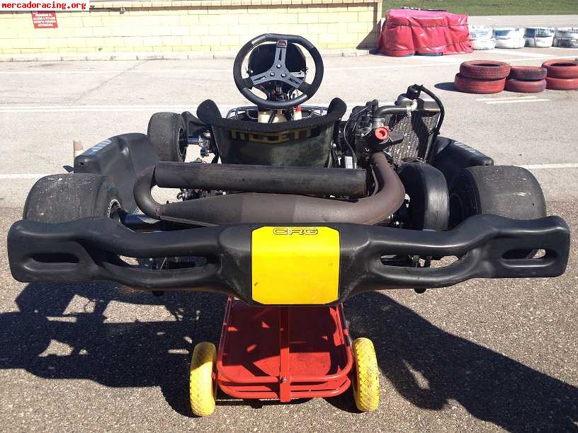 Crg bad boy con motor rotax max