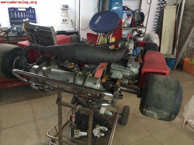 Icc tonykart con motor tm 6 marchas